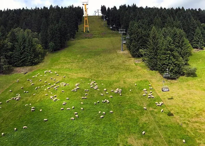 Landhaus-chalet-keilberger Blick Apartment Oberwiesenthal