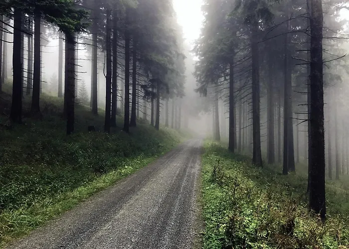 Apartment Landhaus-chalet-keilberger Blick Oberwiesenthal